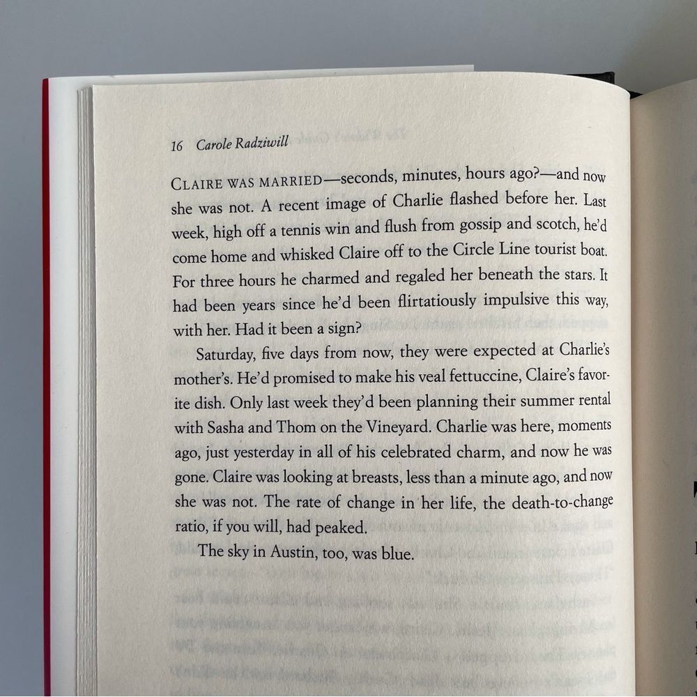 BOOK, The Widow’s Guide to Sex & Dating, a novel, 302 pages, Fiction, NOS - Picture 15 of 16